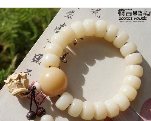 紫沙莲蓬的寓意是什么？它的花语又有哪些？