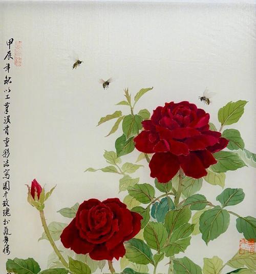 冬季如何管理红色玫瑰花？