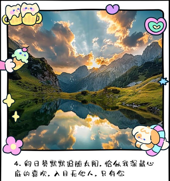 深情的花语有哪些？