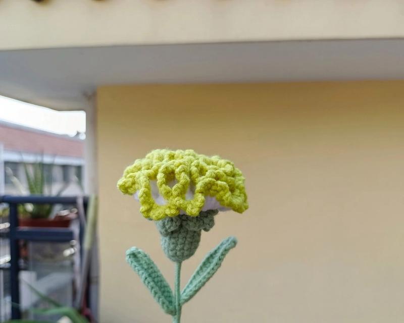 石竹康乃馨的花语是什么？石竹康乃馨在花语中有什么特别含义？