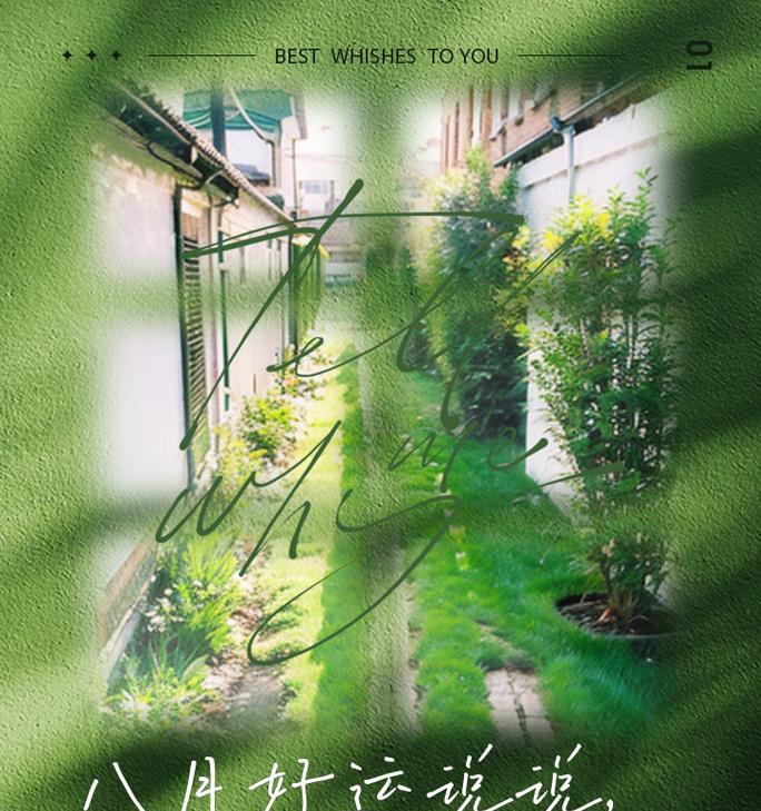 “愿你心想事成”的花语是什么？它代表了什么？