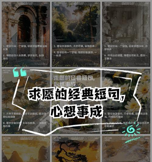 “愿你心想事成”的花语是什么？它代表了什么？