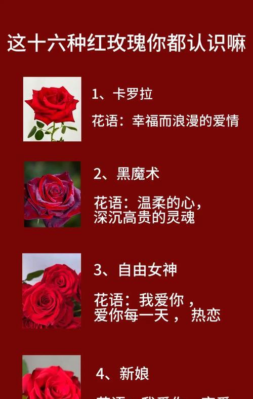红白玫瑰组合的花语含义是什么？