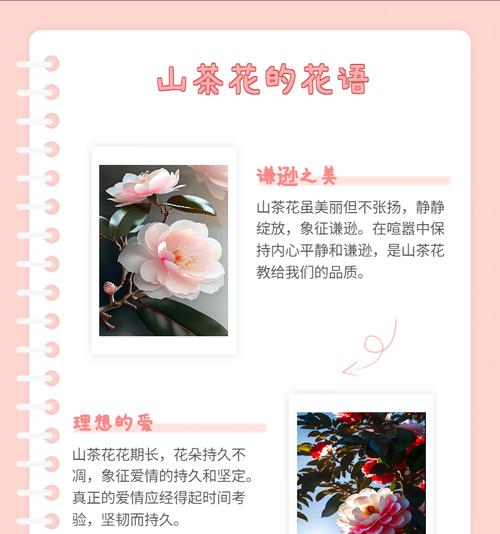 哪种花代表坚韧勇敢的爱？花语含义是什么？