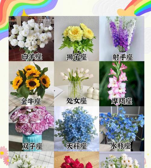 升学时送玫瑰花合适吗女生应该送什么？