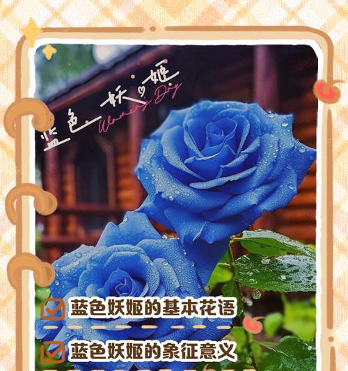 蓝色妖姬花语不熟悉时应如何理解？