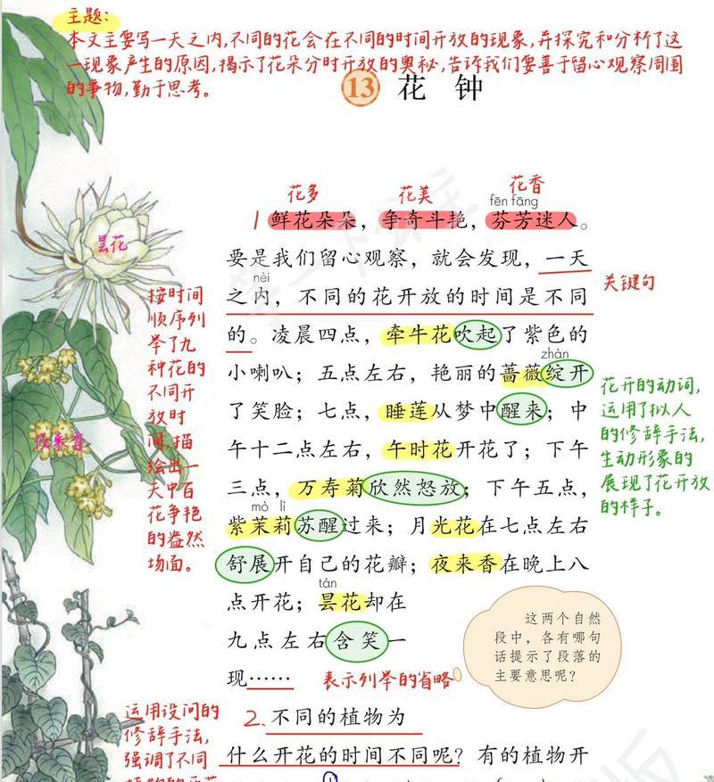 开放的花有哪些花语？开放的花语代表什么含义？
