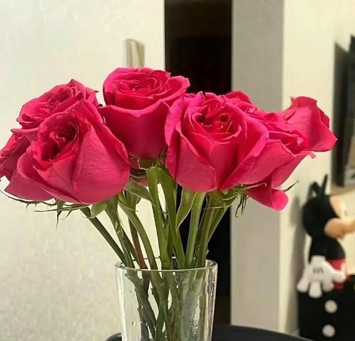 新娘床上铺花的花语是什么？它代表了什么？