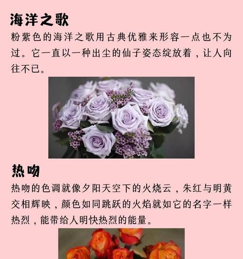 不愿意承认的爱情的花语是什么？它表达了什么情感？