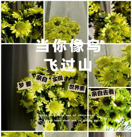 小绿花通常代表了什么含义？