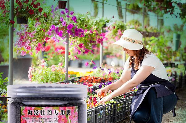 牡丹花施肥应该使用哪种肥料？