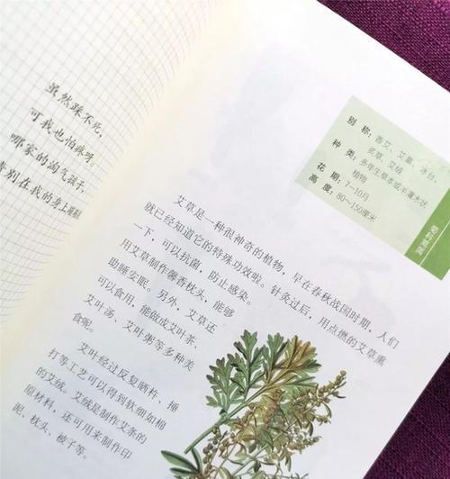 艾草在德国的花语是什么？它在德国文化中代表什么？