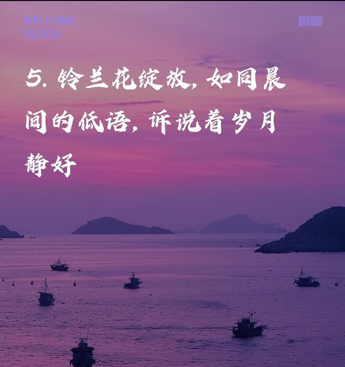 花语背后的寓意和故事是什么？它们有何深意？
