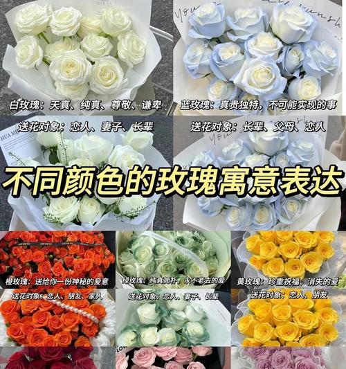 云彩中的玫瑰花语有何寓意？它传递了怎样的情感？