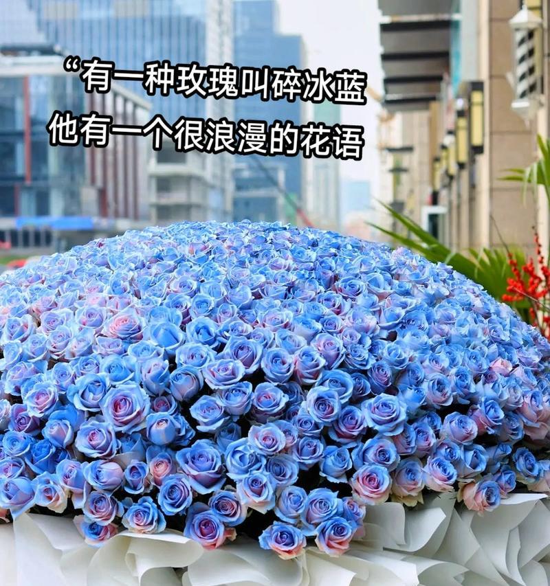 云彩中的玫瑰花语有何寓意？它传递了怎样的情感？