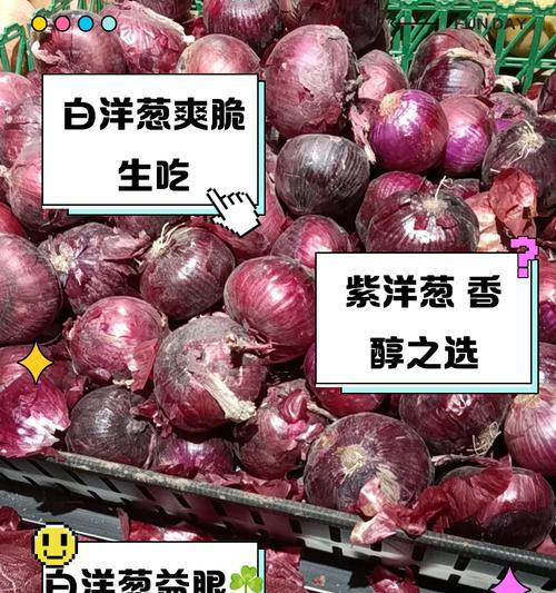 蔬菜紫葱头的花语是什么？它在花语中有什么特别含义？