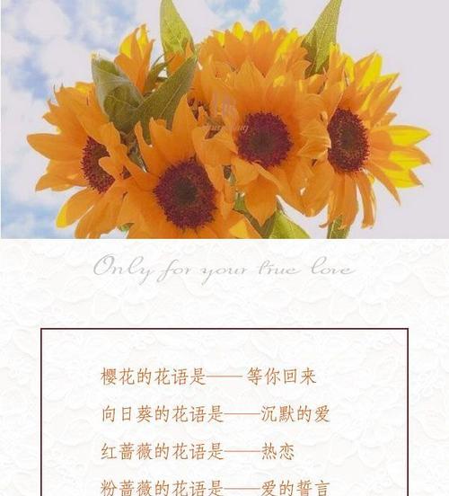 花语轻扬的含义是什么？它在花语中代表什么？