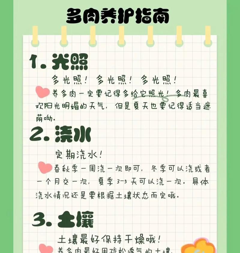 仙人球的浇水方法是什么？如何正确洒水？