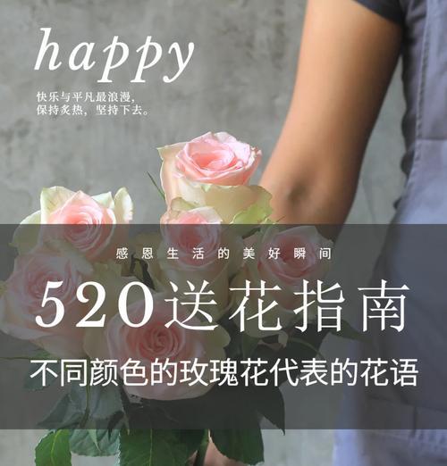 不同颜色玫瑰的花语有何区别？