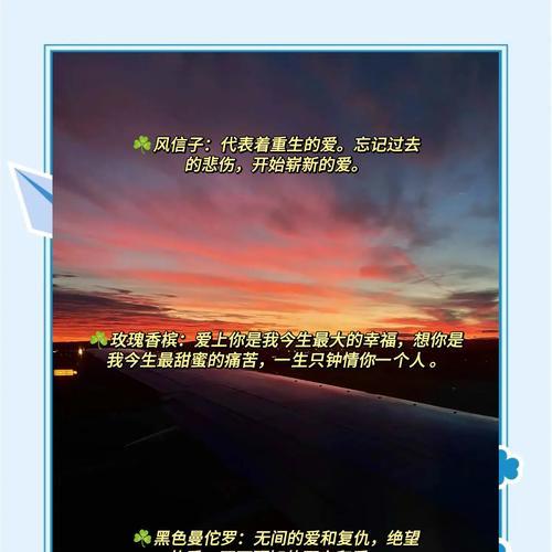 男朋友见面送花的花语有何讲究？