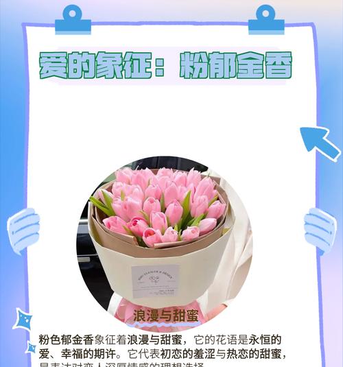 热烈永恒的爱用什么花表达？
