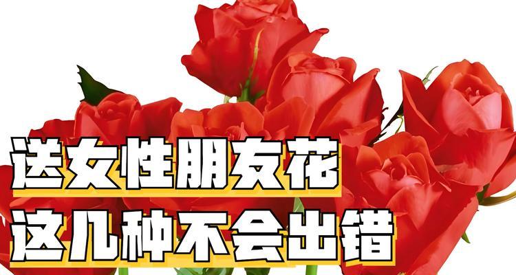 热烈永恒的爱用什么花表达？