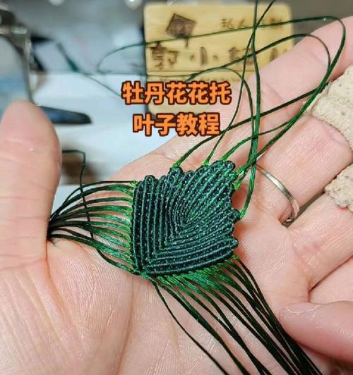 牡丹花打叶子的正确方法是什么？怎样才能保持美观？