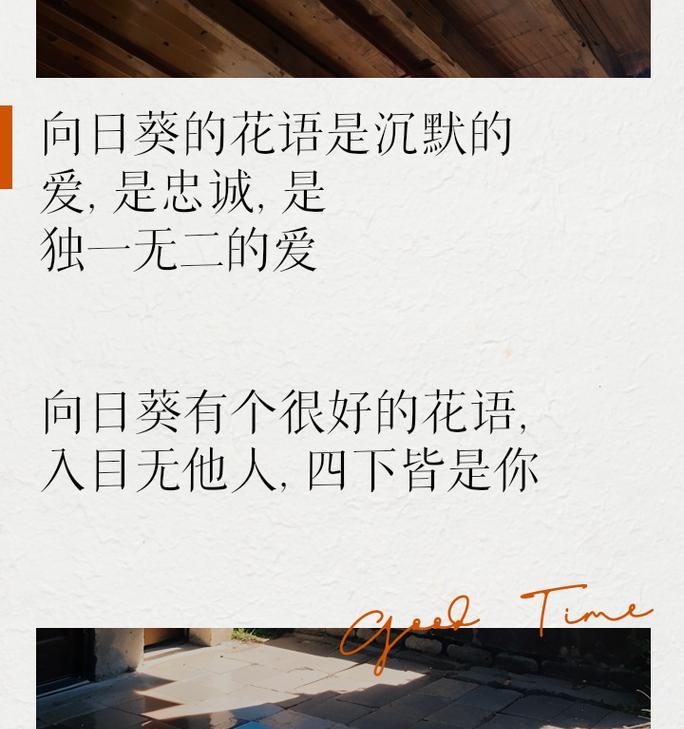 嫁人文案中包含的花语是什么？嫁人文案的花语有何深意？