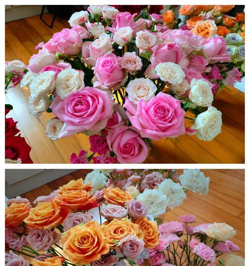 大朵玫瑰花养护的秘诀是什么？