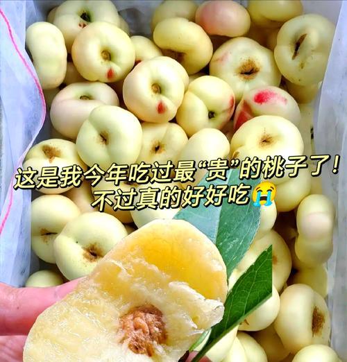 奶油桃子的花语是什么意思？它象征着什么？
