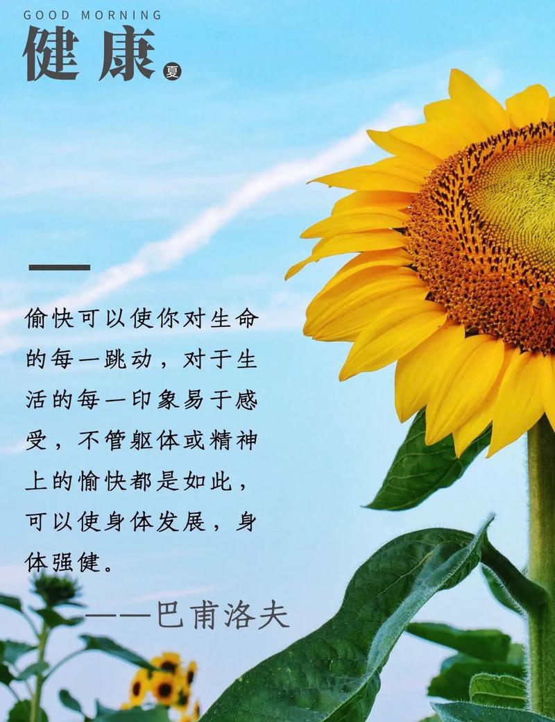 如何选择与性格相符合的花语？