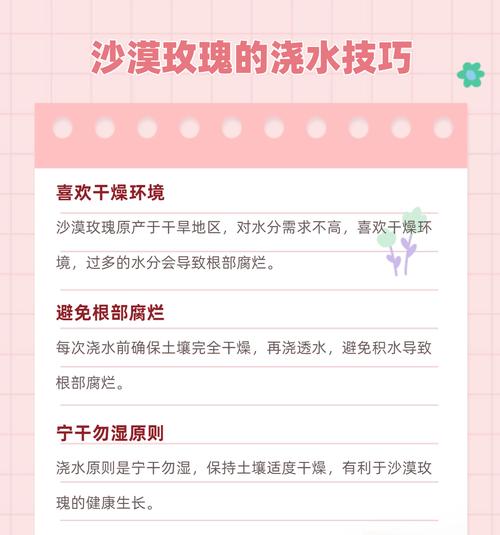 玫瑰花的正确养护方法是什么？