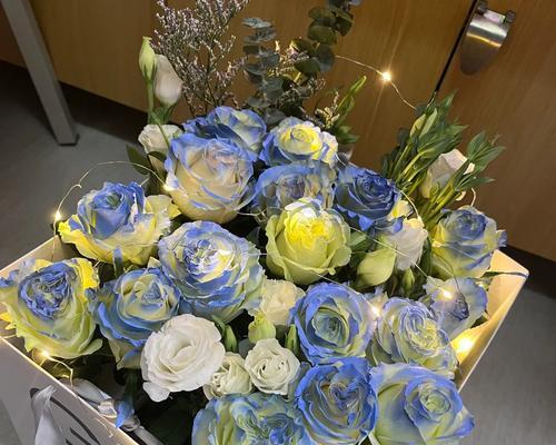 蓝冰玫瑰的花语是什么？蓝冰玫瑰象征着什么？