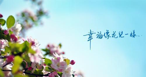 无疾而终的恋爱花语是什么？它象征了怎样的情感经历？