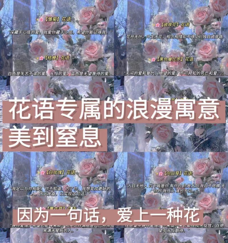 荼蘼花的花语代表什么？如何用作最后的告白？