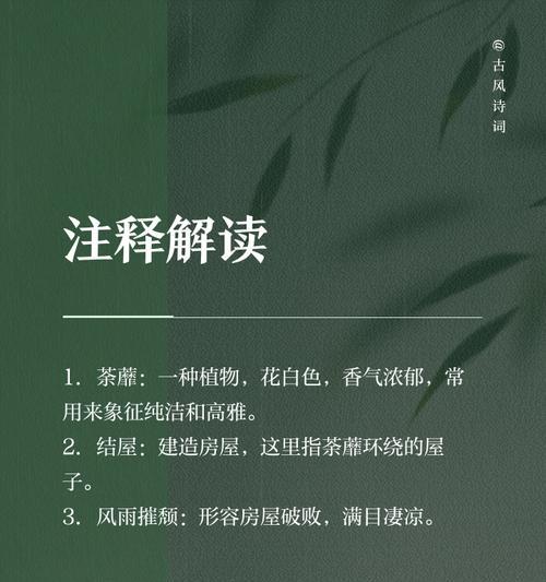 荼蘼花的花语代表什么？如何用作最后的告白？