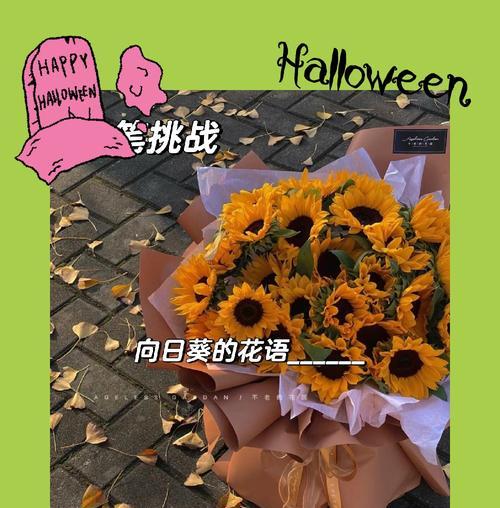 向日葵的花语在倩女幽魂中有何寓意？