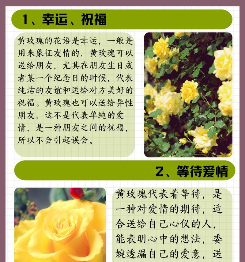 罪恶花语的花代表什么？