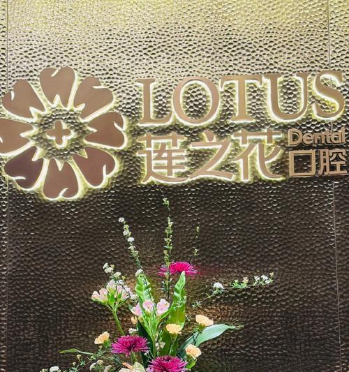 道具荷花的花语代表了什么？