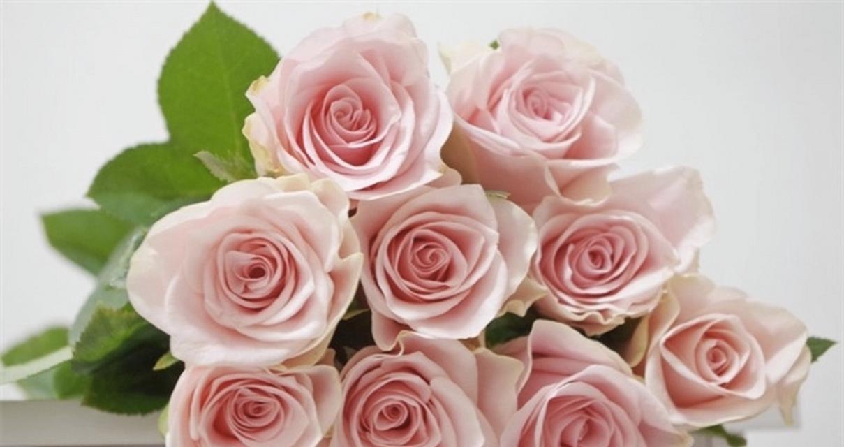 19朵粉玫瑰传递了什么信息？花语含义是什么？