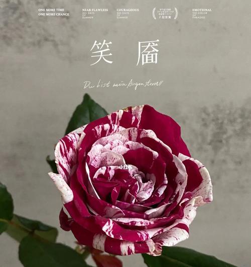 哪种花语代表替他人着想？成语是什么？