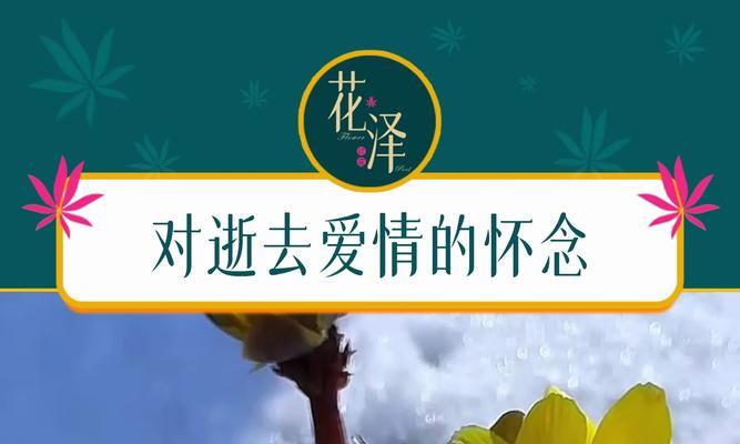 死去的爱情象征着什么花语？