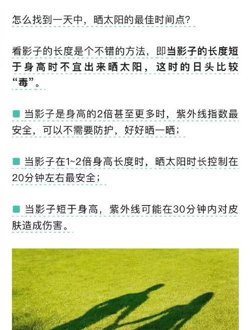 植物晒太阳的好处有哪些？