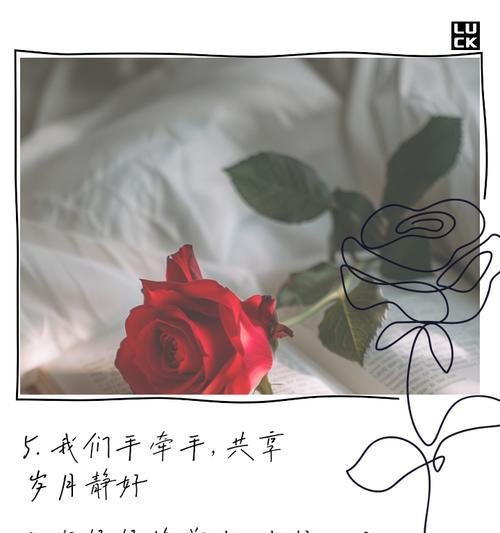 花语中家人代表什么？它如何表达家庭的温暖？