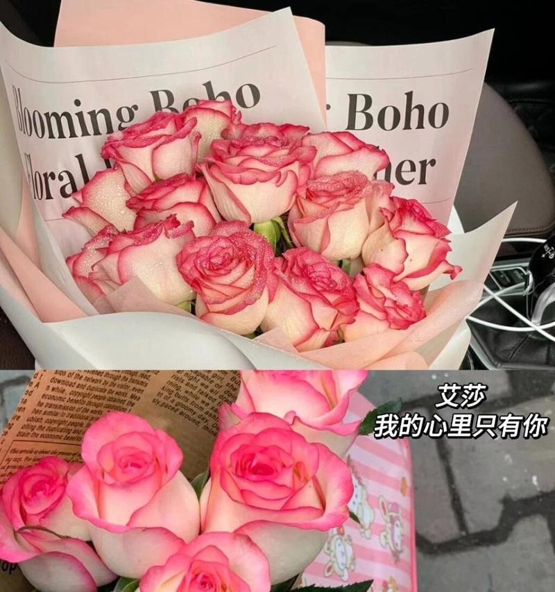 玫瑰爱莎的花语有何特别之处？