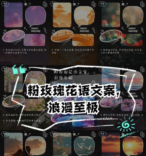 万千块钱的花语代表了什么？花语中的“万千”有何深意？