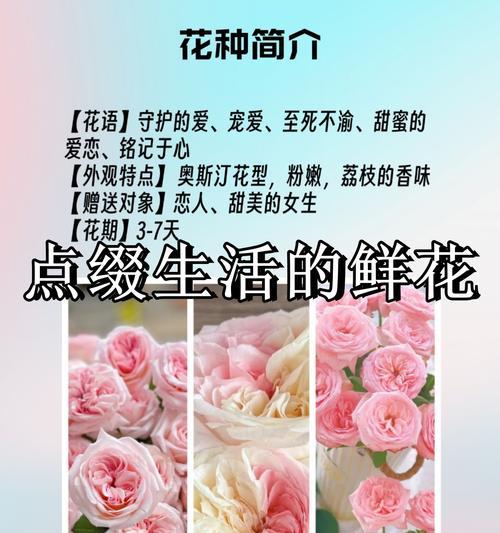 深情的花语是什么花？哪种花代表着深情和爱意？