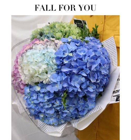 深情的花语是什么花？哪种花代表着深情和爱意？