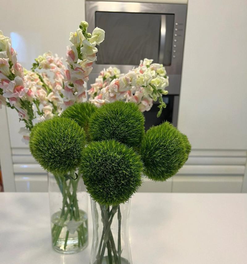 开花绿毛球的花语和寓意是什么？