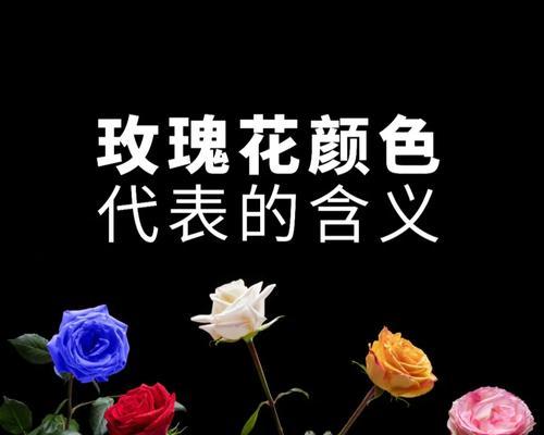 哪种花的花语代表创造性？创造性的花语是什么？